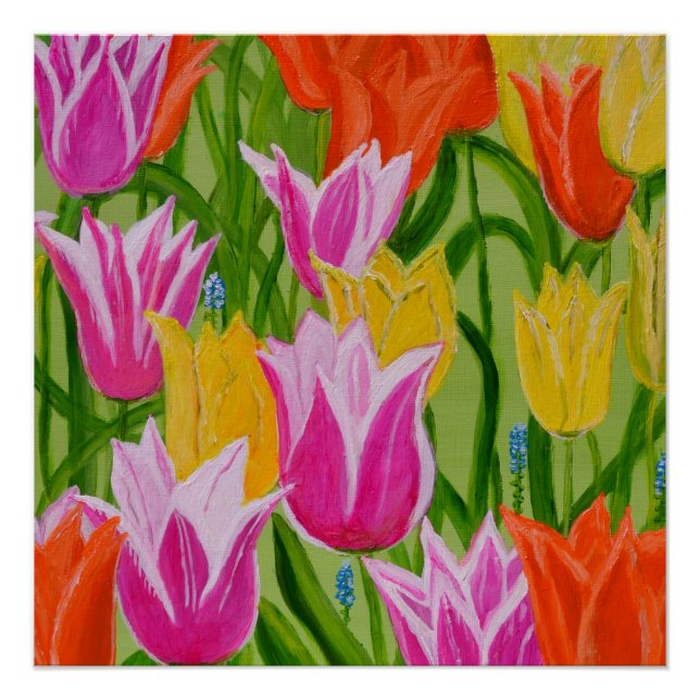 Tulips1 Poster (Vorderseite)