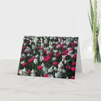Tulips 16 Blankokarte Karte