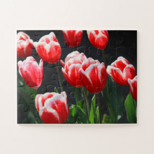 Tulips 30-pc puzzle