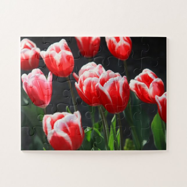 Tulips 30-pc puzzle (Horizontal)