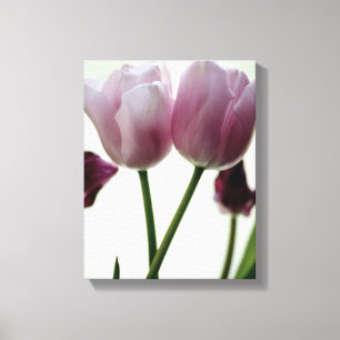 Tulips 3259 leinwanddruck