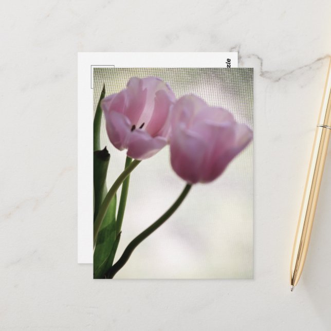 Tulips 3265 postkarte (Vorderseite/Rückseite Beispiel)