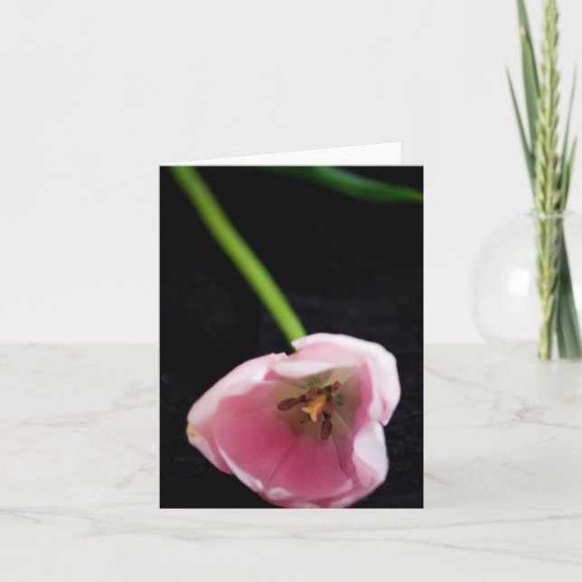 Tulips 3272 karte (Vorderseite)