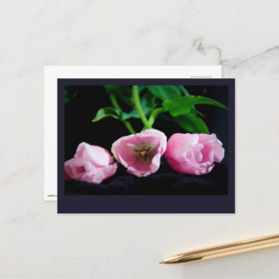 Tulips 3273 postkarte