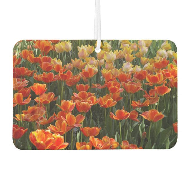 Tulips Air Freshener Autolufterfrischer (Vorderseite)