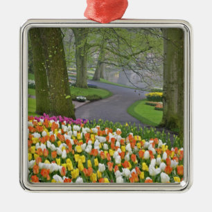 Tulips and road, Keukenhof Gardens, Lisse, Ornament Aus Metall