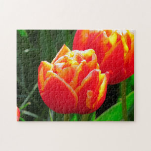 Tulips aus Amsterdam. Puzzle