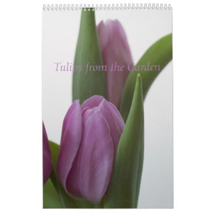 Tulips aus dem Gartenkalender Kalender