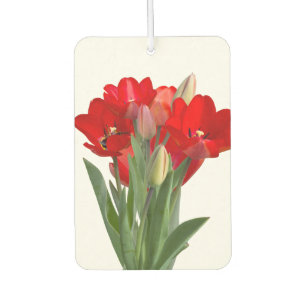 Tulips Autolufterfrischer