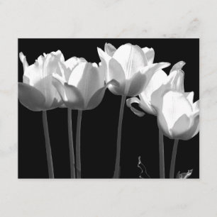 Tulips, B&W Wedding Einladung