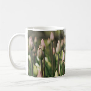 Tulips beginnen zu blühen kaffeetasse