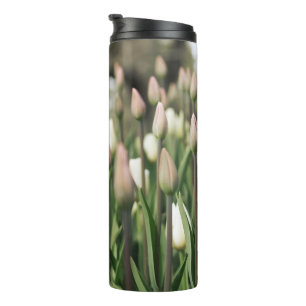 Tulips beginnen zu blühen thermosbecher