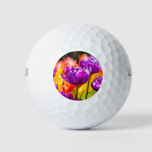 Tulips Bezaubernd Lila Golfball