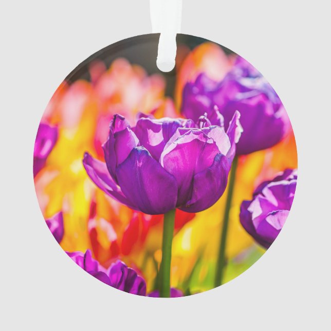 Tulips Bezaubernd Lila Ornament (Rückseite)