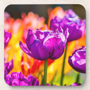 Tulips Bezaubernd Lila Untersetzer