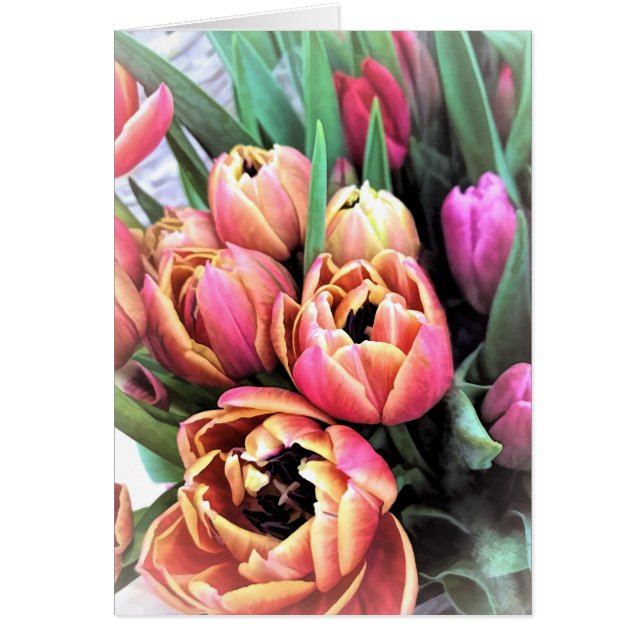 Tulips Bouquet (Vorne)