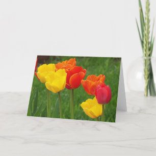 Tulips Brights Karte