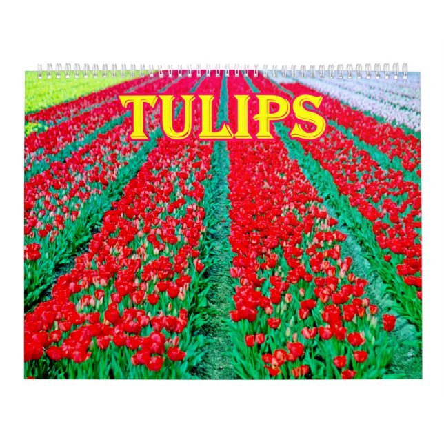 tulips Calendar Kalender (Titelbild)