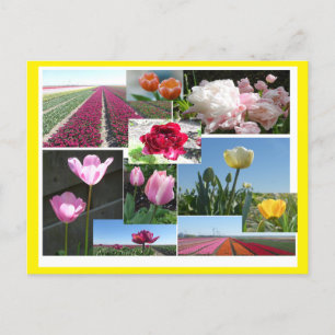 Tulips Collage DIY & Cust. Grenzfarbpostkarte Feiertagspostkarte