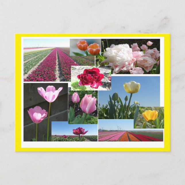 Tulips Collage DIY & Cust. Grenzfarbpostkarte Feiertagspostkarte (Vorderseite)