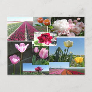 Tulips Collage DIY Postkarte