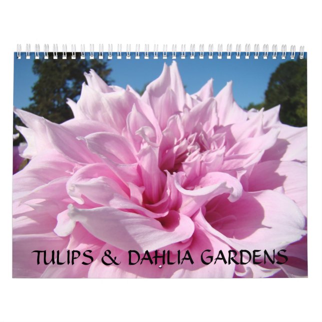 TULIPS & DAHLIA GARDENS Kalender Geschenkbücher (Titelbild)