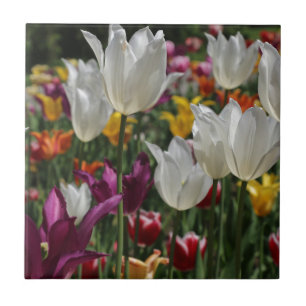 Tulips Fliese