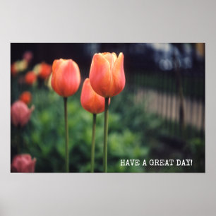 Tulips florale Tulip Garden Frühlingstag Blume Poster