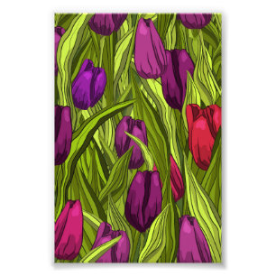 Tulips Fotodruck