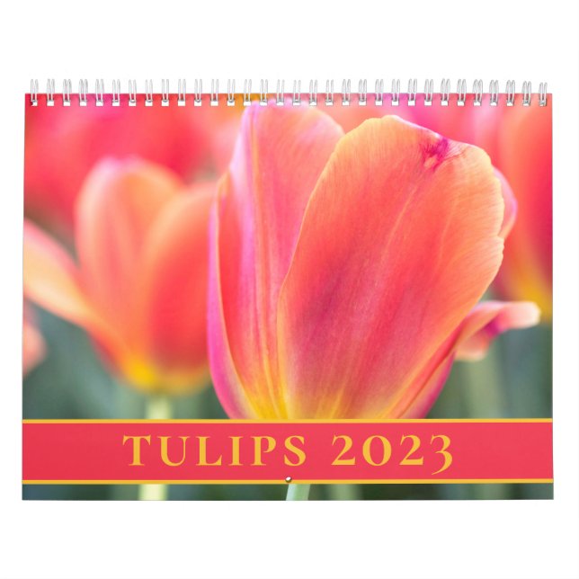 Tulips Fotografie 2023 Kalender (Titelbild)