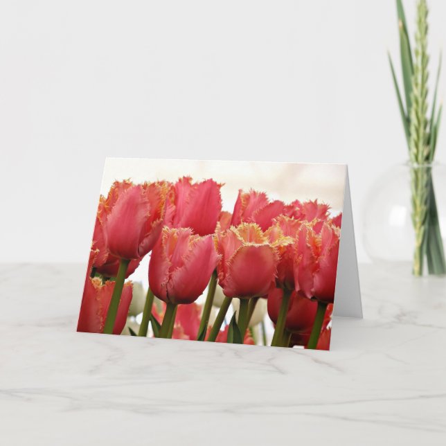 Tulips Fotografie | Korallen und Gold gezinkt Karte (Vorderseite)