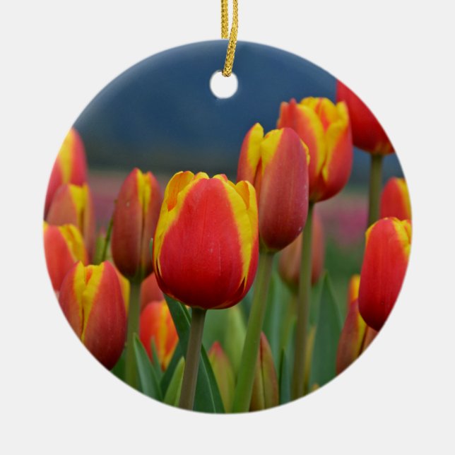 Tulips für die Mama Keramikornament (Vorne)