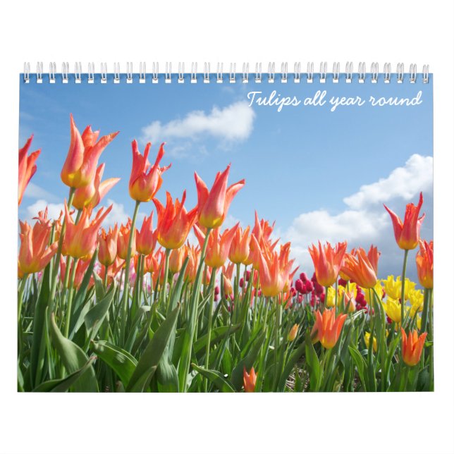 Tulips ganzjährig kalender (Titelbild)