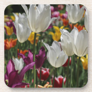 Tulips Getränkeuntersetzer