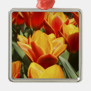 Tulips gibt es in den Keukenhof Gardens, Holland. Ornament Aus Metall