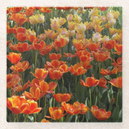 Tulips Glass Untersetzer