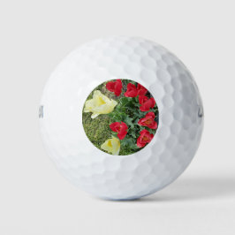 Tulips Golfball