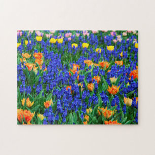 Tulips Grapezie Hyacinth Blume Field Colorful Puzzle
