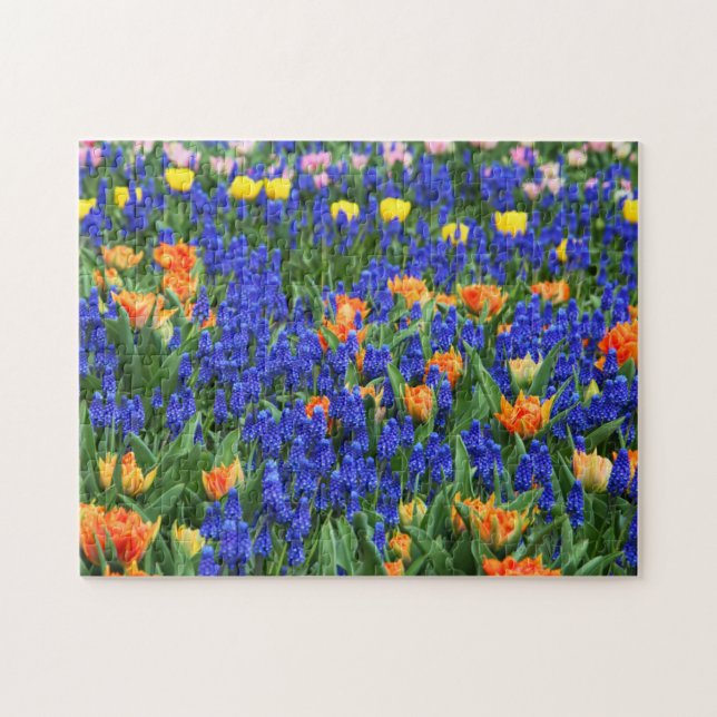 Tulips Grapezie Hyacinth Blume Field Colorful Puzzle (Horizontal)