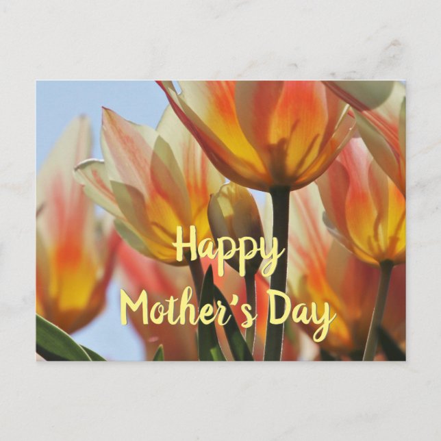Tulips Happy Mother Day Postcard Postkarte (Vorderseite)