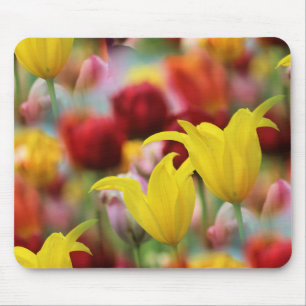 Tulips im Frühling Mousepad