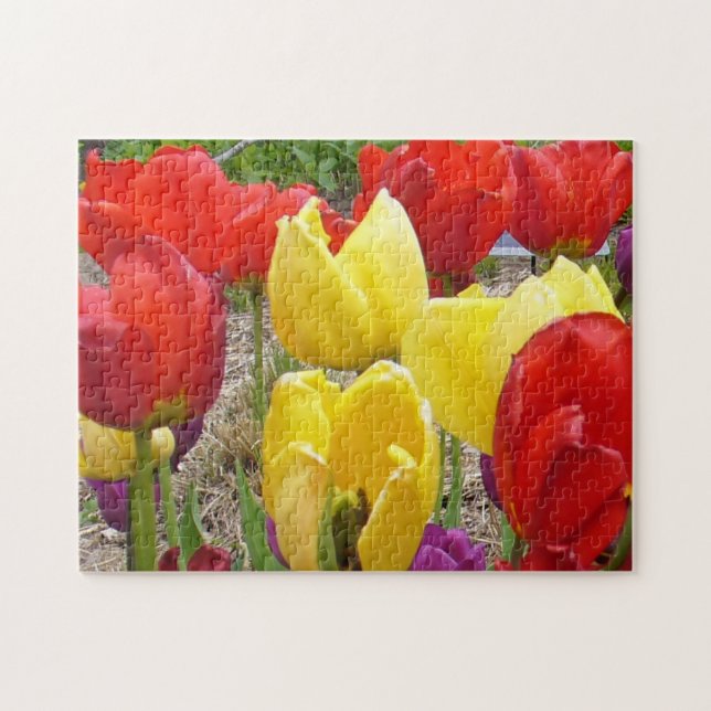 Tulips im Garden Puzzle (Horizontal)