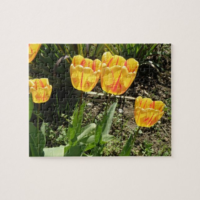 Tulips im Sonnenpuzzle Puzzle (Horizontal)