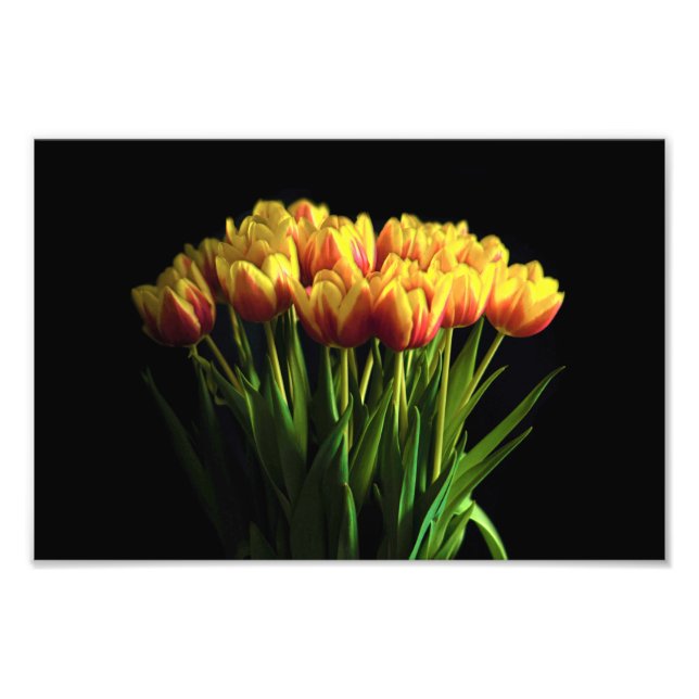 Tulips in Blume Vase Fotodruck (Vorne)