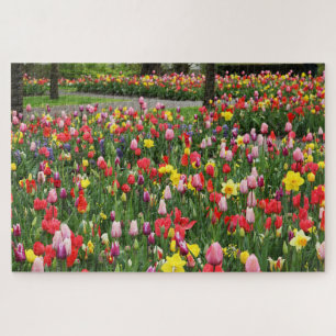 Tulips in Springtime Garden Weg farbenfroh Puzzle