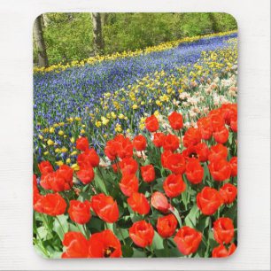 Tulips in Wäldern Mousepad