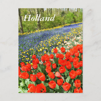 Tulips in Wäldern Postkarte