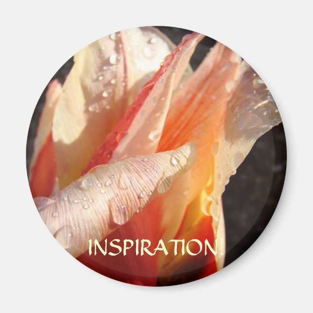 TULIPS INSPIRATION MAGNET Raindrops Tulip Blume (Vorne)