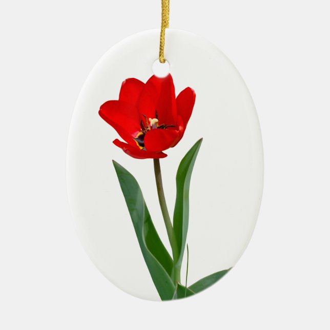 Tulips Keramik Ornament (Vorne)