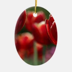 Tulips Keramikornament
